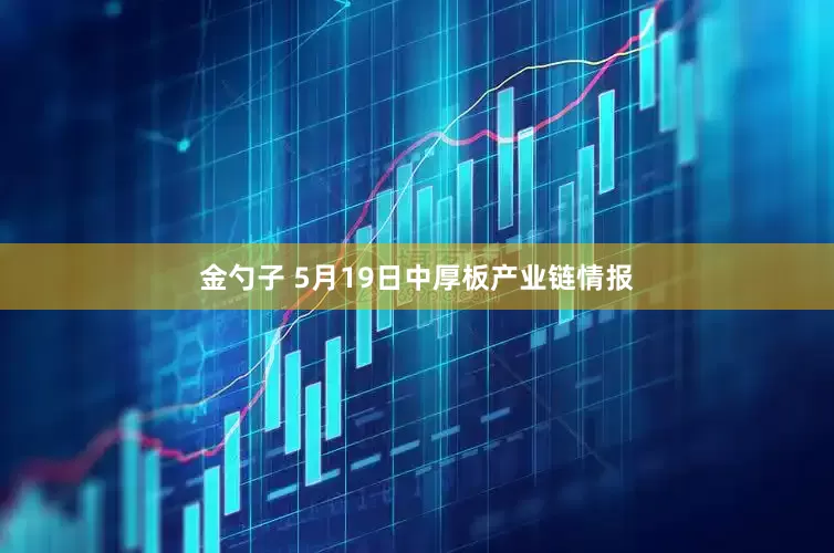 金勺子 5月19日中厚板产业链情报