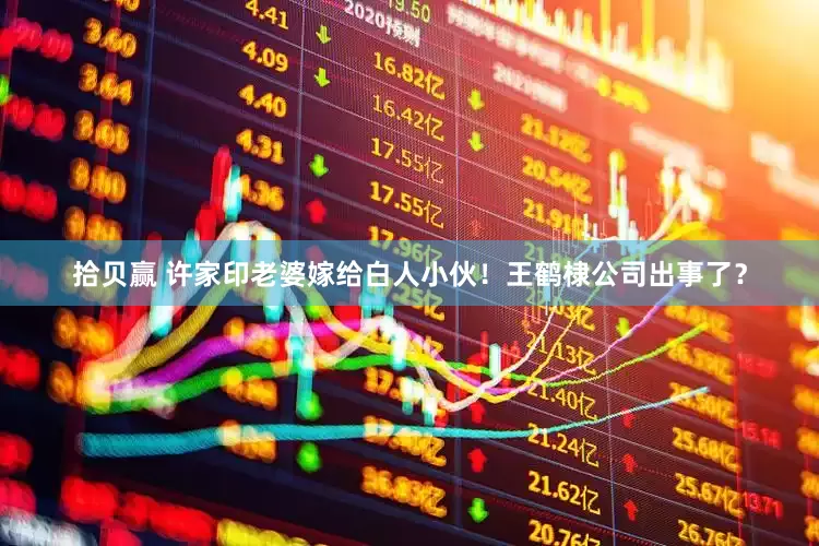 拾贝赢 许家印老婆嫁给白人小伙！王鹤棣公司出事了？